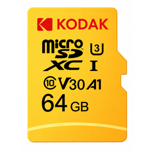 Carte microSD 64 Go haute endurance
